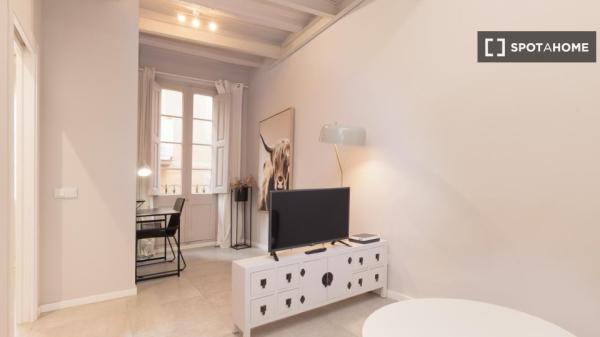Piso de 2 habitaciones en alquiler en El Gótico, Barcelona