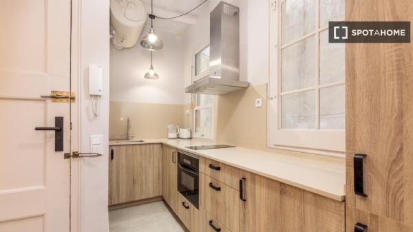 Piso de 2 habitaciones en alquiler en El Gótico, Barcelona