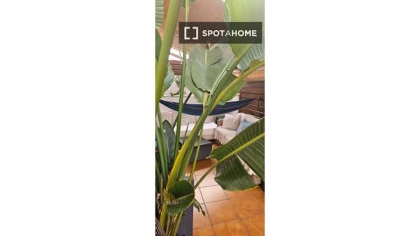 Se alquila habitación en El Gòtic, Barcelona