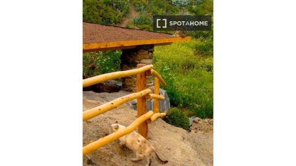 Estudio en alquiler en Santa Brígida