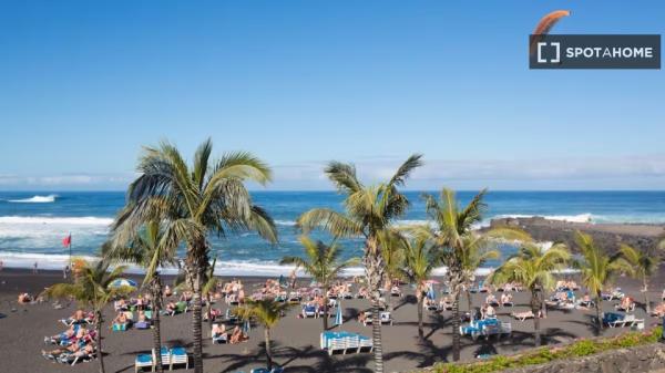 Apartamento de 1 dormitorio en alquiler en Puerto de la Cruz