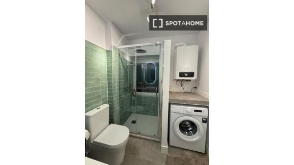 Se alquila piso de 2 habitaciones en Santander.