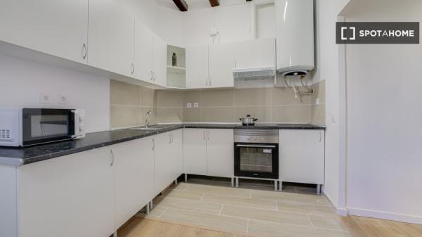 Habitación en piso compartido en alquiler en el Gòtic, Barcelona