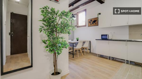 Habitación en piso compartido en alquiler en el Gòtic, Barcelona