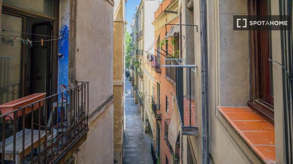 Habitación en piso compartido en alquiler en el Gòtic, Barcelona
