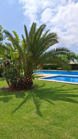 Chalet adosado en calle Serra Mariola, 23