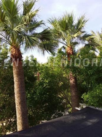 Finca rústica en Lg Diseminados