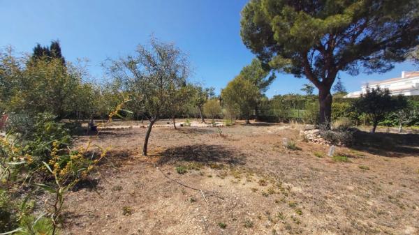Casa independiente en avenida de Coloma