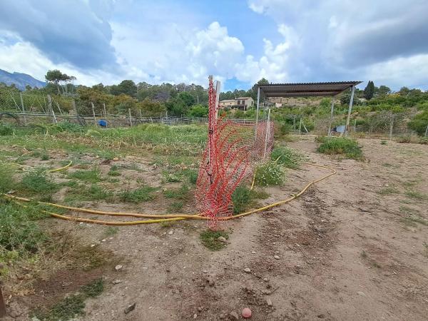Casa independiente en Partida Barranco Salat