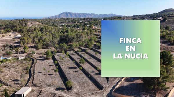 Finca rústica en Partida Rompuda, 4