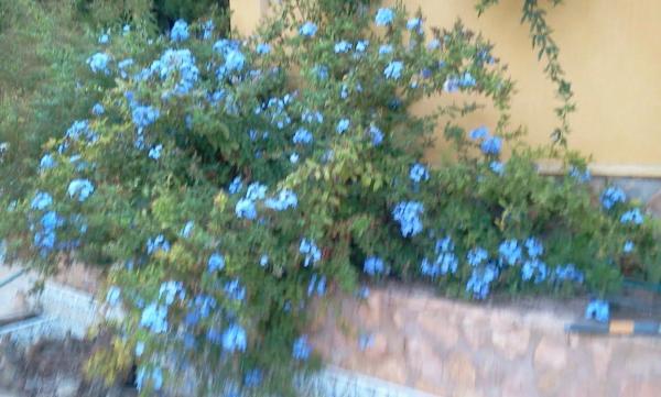 Casa independiente en calle de l'Agró, 9