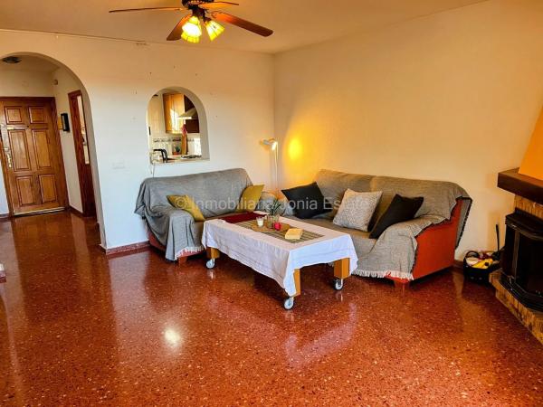 Chalet adosado en Partida el Olivar