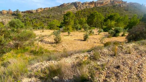 Finca rústica en via Sense nom s/n