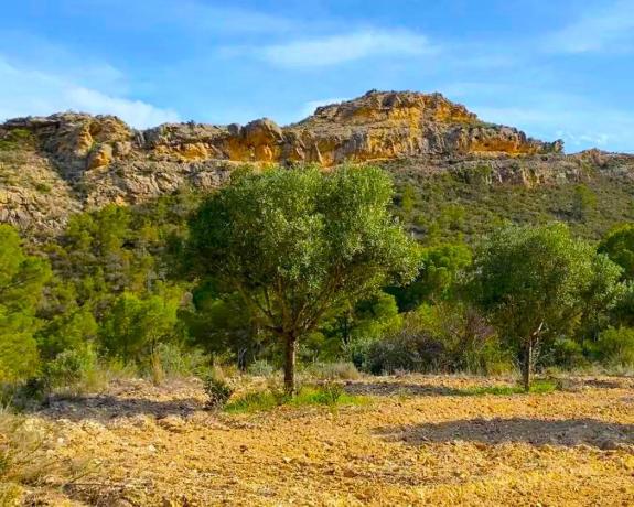 Finca rústica en via Sense nom s/n