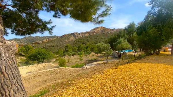 Finca rústica en via Sense nom s/n