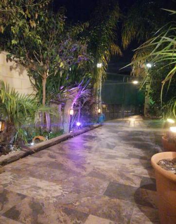 Chalet pareado en calle Tomàs Lloret Lloret