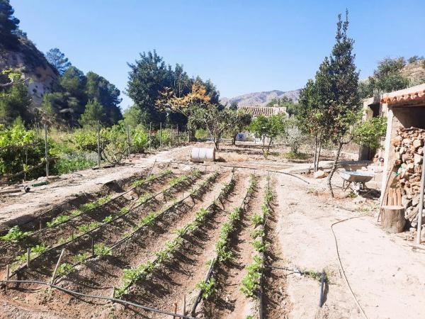 Finca rústica en Finca Horteta, 1