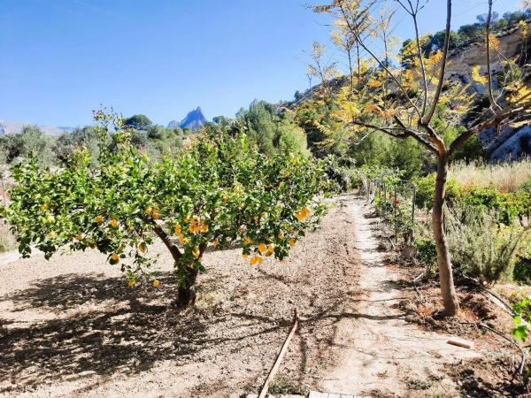Finca rústica en Finca Horteta, 1
