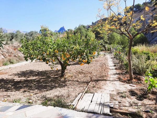 Finca rústica en Finca Horteta, 1