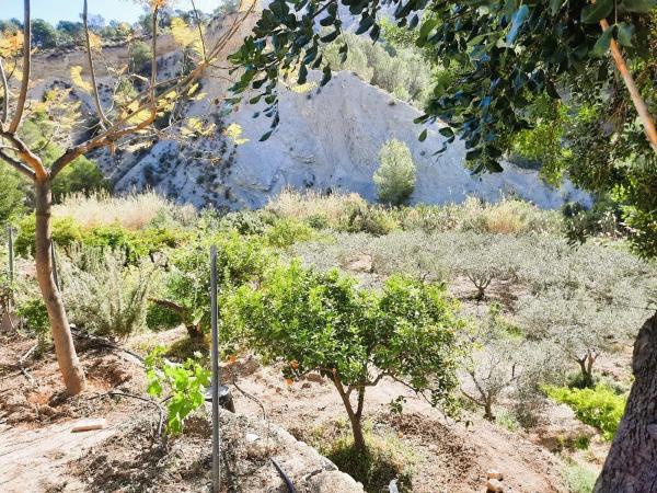 Finca rústica en Finca Horteta, 1