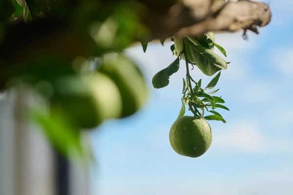 Casa independiente en calle Mariola, 3
