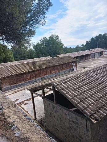 Finca rústica en Partida Matet