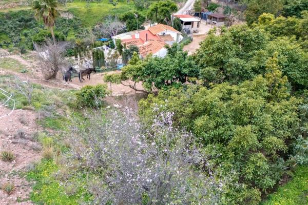 Finca rústica en calle Paradís