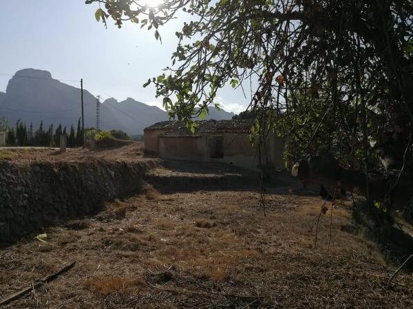 Finca rústica en Pda. Algoletja, 867