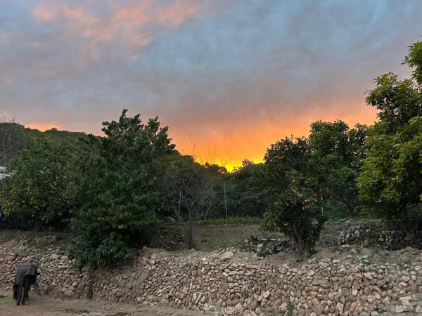 Casa rural en Partida campulles, 54