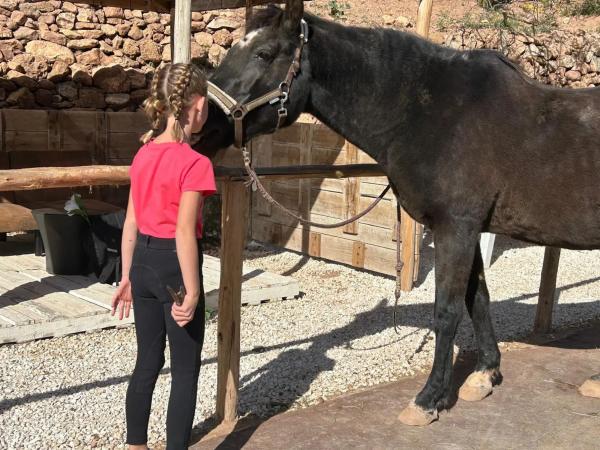 Casa rural en Partida campulles, 54