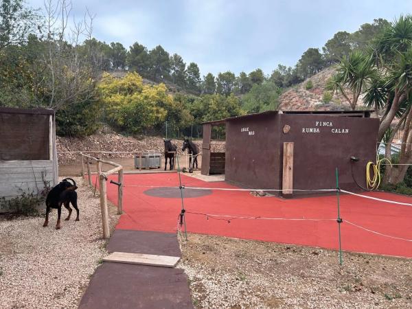 Casa rural en Partida campulles, 54