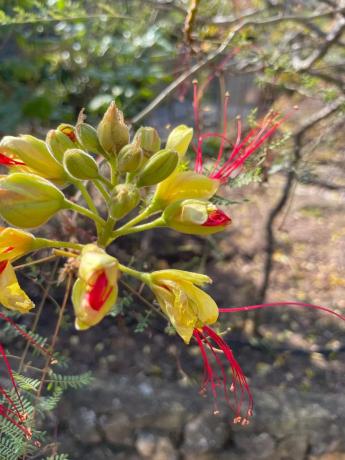 Casa independiente en Xirles s/n
