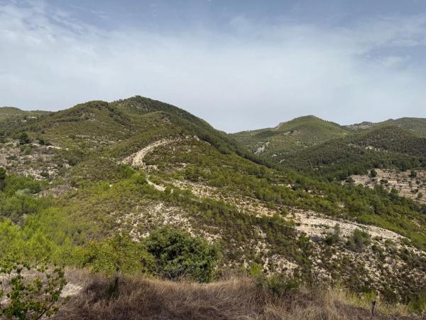 Finca rústica en Partida Teix