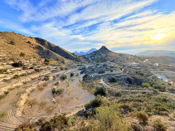 Chalet pareado en Partida Muscaret, 78