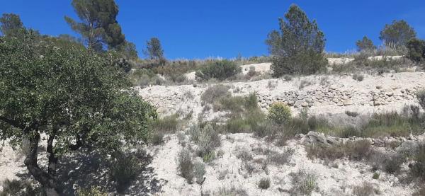 Casa independiente en Partida Foia el Corral