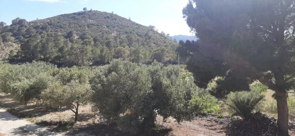 Casa independiente en Partida Foia el Corral