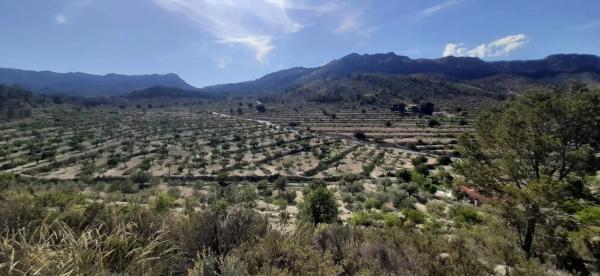 Casa independiente en Partida Foia el Corral