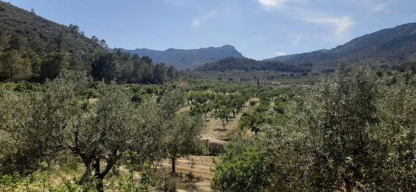 Casa independiente en Partida Foia el Corral