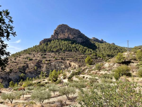 Finca rústica en Partida Xauxets s/n