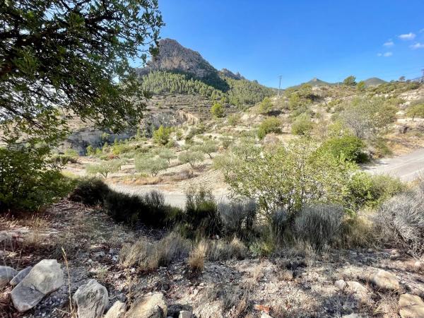 Finca rústica en Partida Xauxets s/n