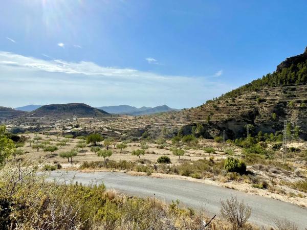 Finca rústica en Partida Xauxets s/n