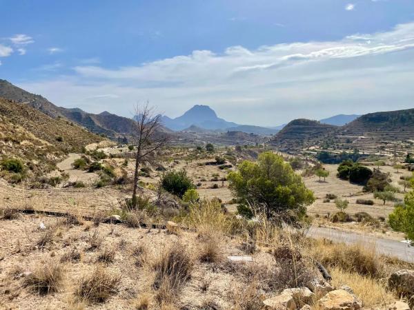 Finca rústica en Partida Xauxets s/n