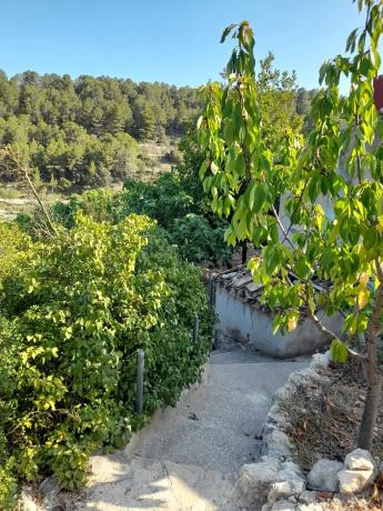 Masía en Pd Urques, 18