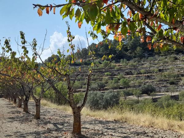 Masía en Pd Urques, 18