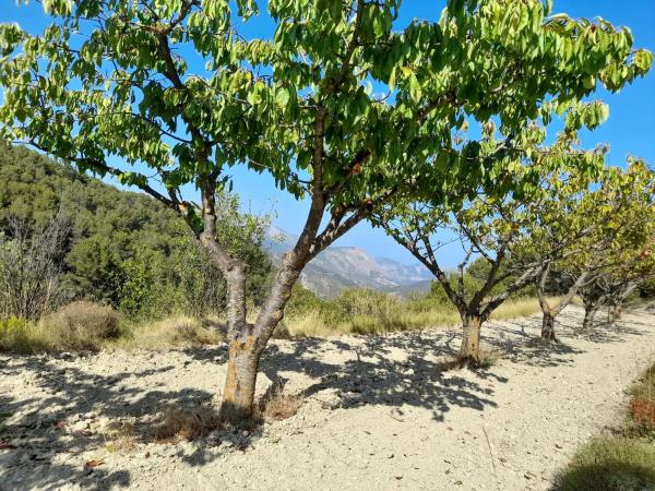 Masía en Pd Urques, 18