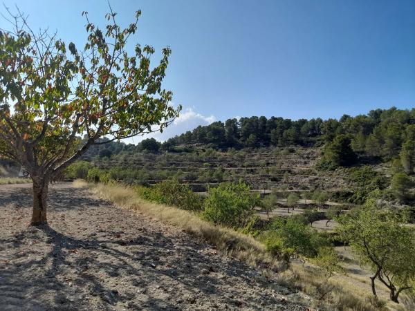 Masía en Pd Urques, 18