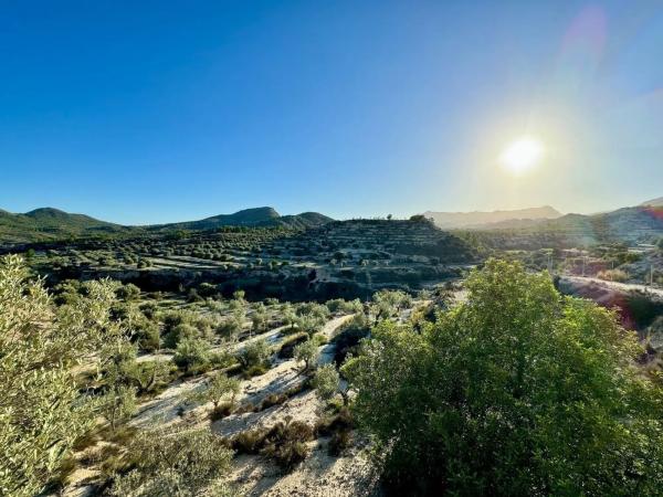 Finca rústica en camino Amadorio s/n