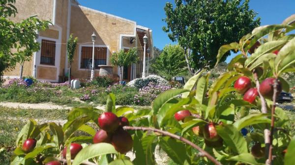 Finca rústica en Partida les Macaroves, 6