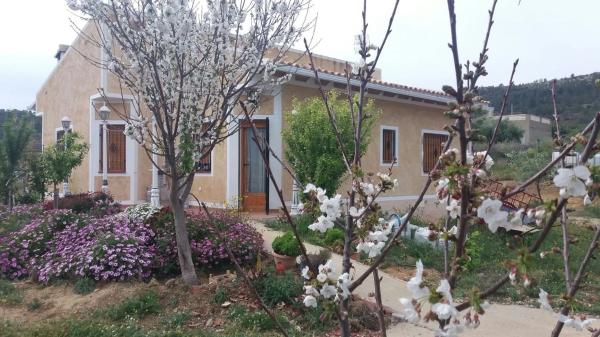 Finca rústica en Partida les Macaroves, 6