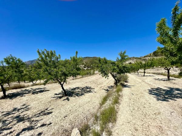 Finca rústica en Pd Font La Figuera, 20